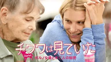 洋画 フェラ|女優映画フェラシーン